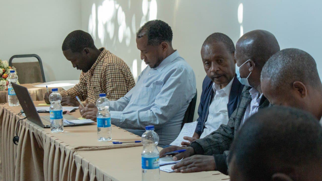 Networks and Ecosystem Strengthening